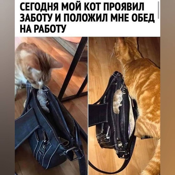 Картинки и мемы для настроения 025