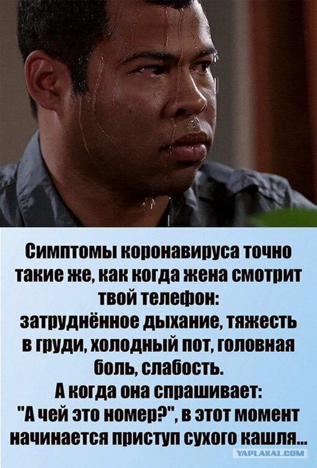 Кретинизмы из KV и KO 27.01.21