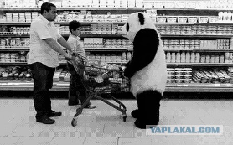 Чёрно-белых фотографий с подписями вам в ленту!