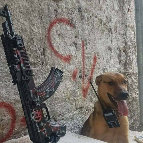 Вооружение в фавеллах!