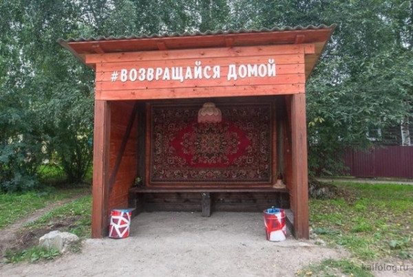 Всяческие картинки 03.12.2021