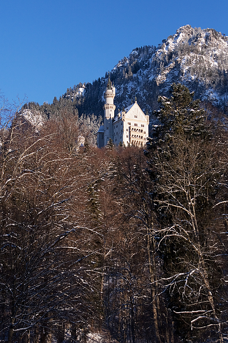 Красоты замка Neuschwanstein