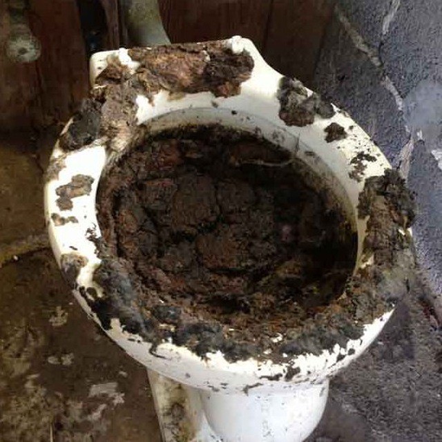 Кто куда ходит срать