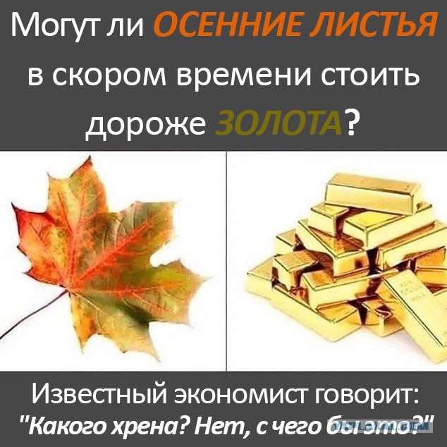 Так себе картинки 21.09.22