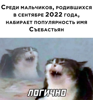 Картинки и мемы для настроения - 111