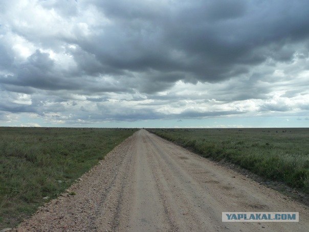 AFRICA - (Эфиопия,Кения,Танзация) 4-16 ноября 2011