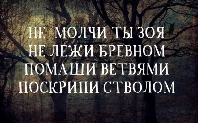 Весёлый полтишок 26.12.2022