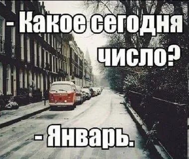 Победная поступь идиотизма по планете – том 5