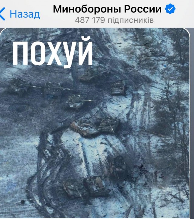 Путин приехал посмотреть, как обрабатывают шишки в Архангельской области