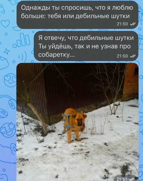 Так себе картинки 20.06.23