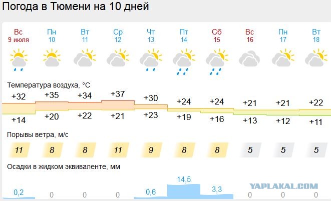 Погода в июле 20 года. Прогноз погоды на неделю. Погода на июль. Погода в Тюмени. Погода в Тюмени сегодня.