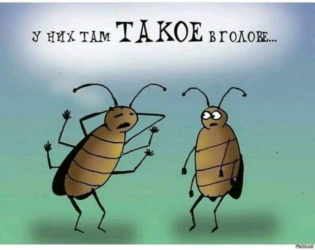 Промыла мозги