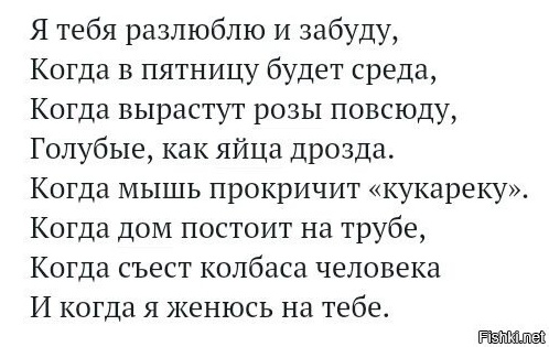 Весёлый полтишок 08.09.23