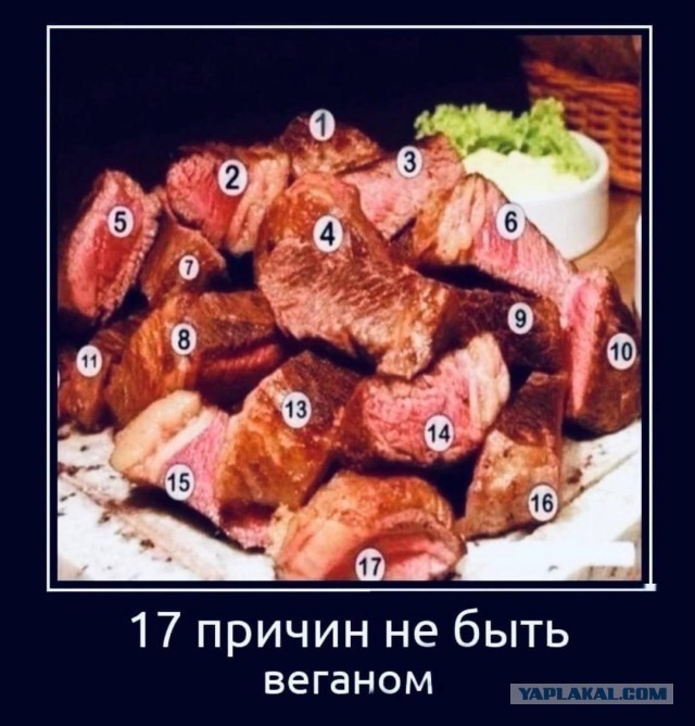 Вторник-повторник 12-12-2023
