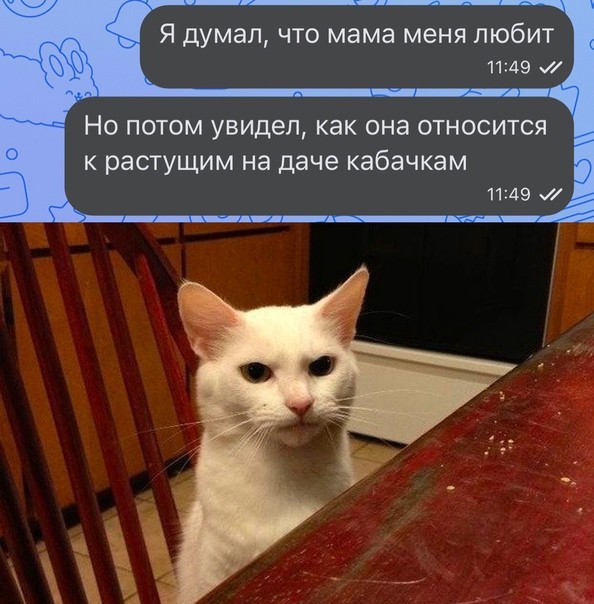 Кретинизмы из KV и KO 10-03-2024