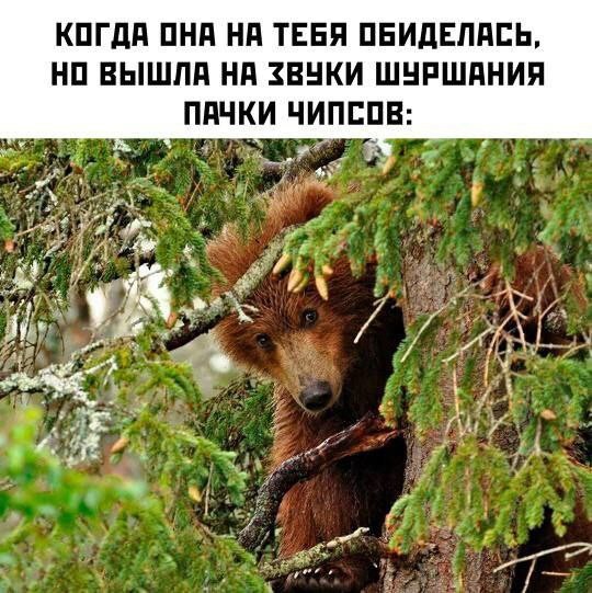 Недовоскресенье 16.06.24