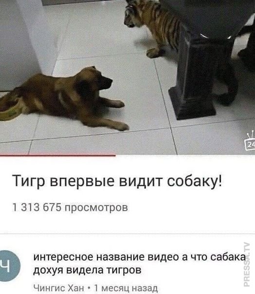 Веселые картинки в пятницу (21.02)