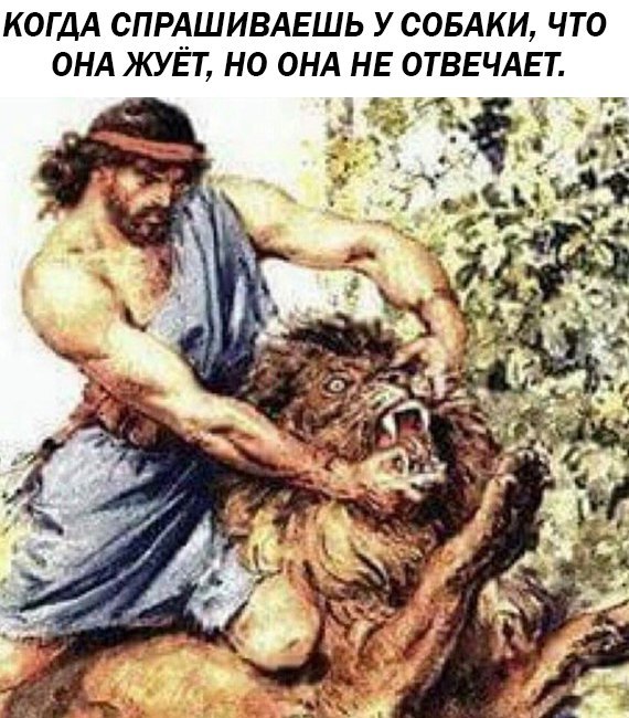 Как разжать челюсти собаке