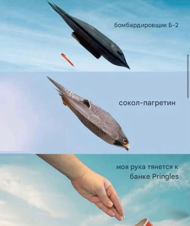 Веселые картинки в понедельник (15.09)