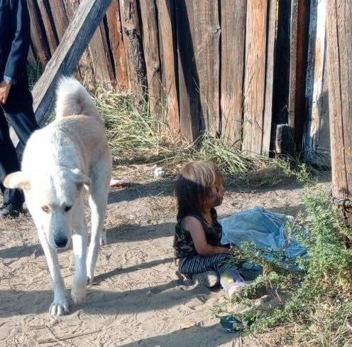 В Тыве произошли два шокирующих инцидента с детьми, оставленными без присмотра