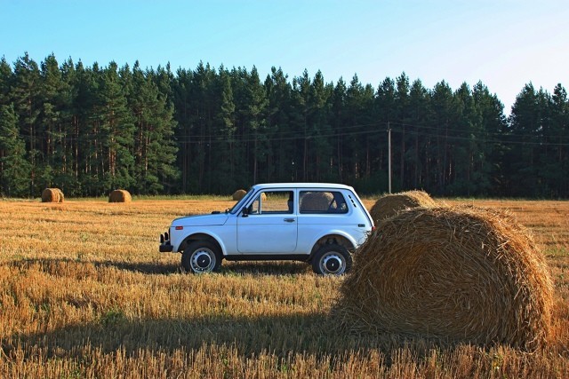 Фото бывших