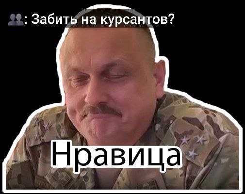 "Должны знать президент и Белоусов": Мигранты 300 раз подумают, стоит ли трогать человека в погонах. Скандал в Камышине докатился до фронта