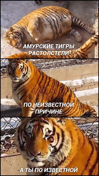 Девушка застряла в капсульном отеле во Внуково