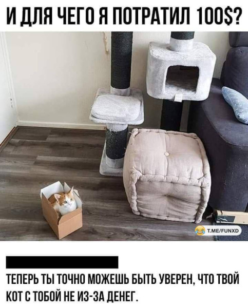 Вторника картинки
