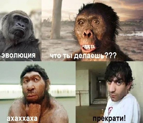 Умеют же люди развлекаться