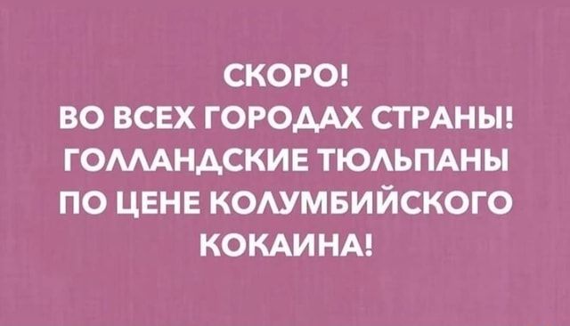 Тюльпаны