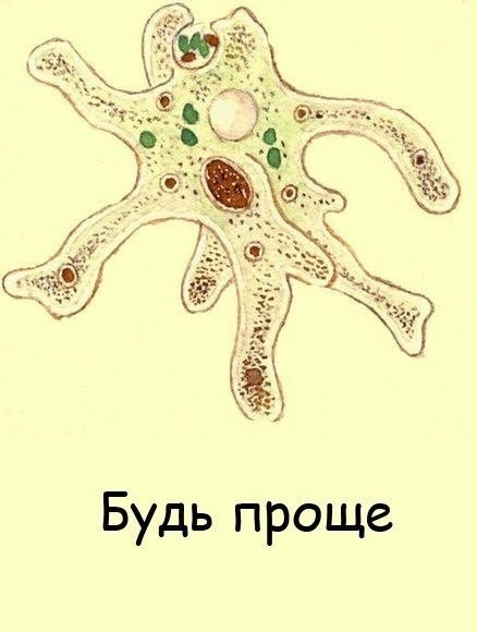 Картинки для деградации 217 (разной степени свежести)