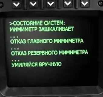 У манула Лоло родились пушистые разбойники!