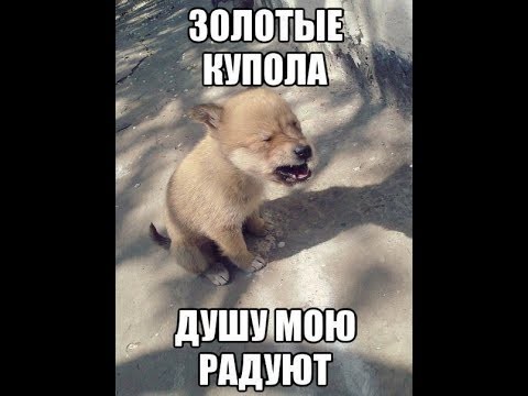 Маразм крепчал...