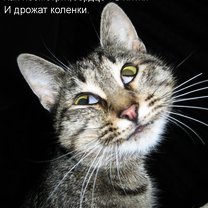 Что нарисовал Путин?