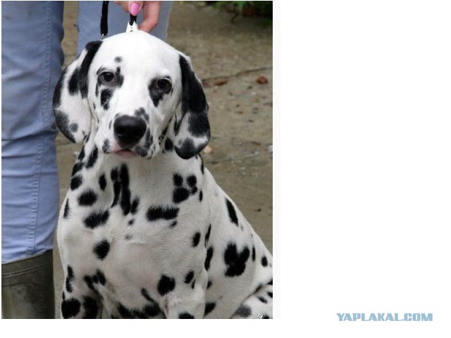 Все хвастуются и я ТОЖЕ.