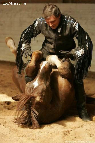 Скоро Год Лошади)))