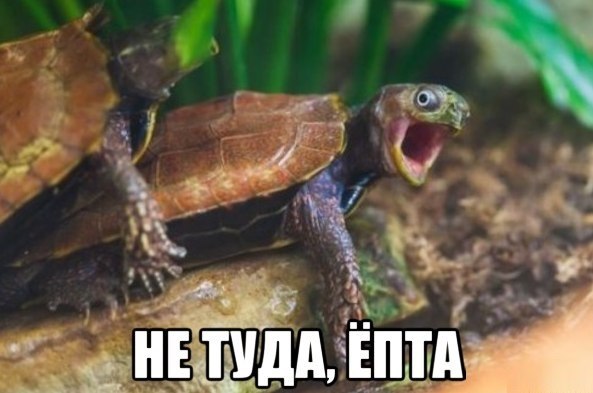 Подборка забавных и курьезных фотографий