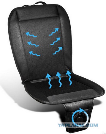 Если у вас потеет попа