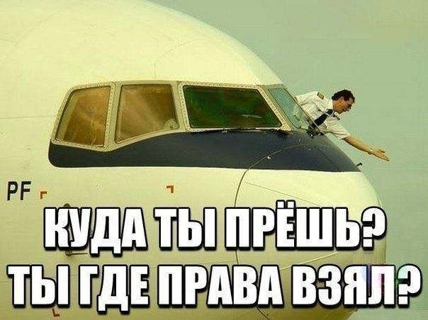 Смешные картинки