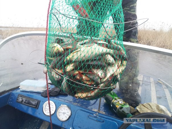 Открытие сезона рыбалки!