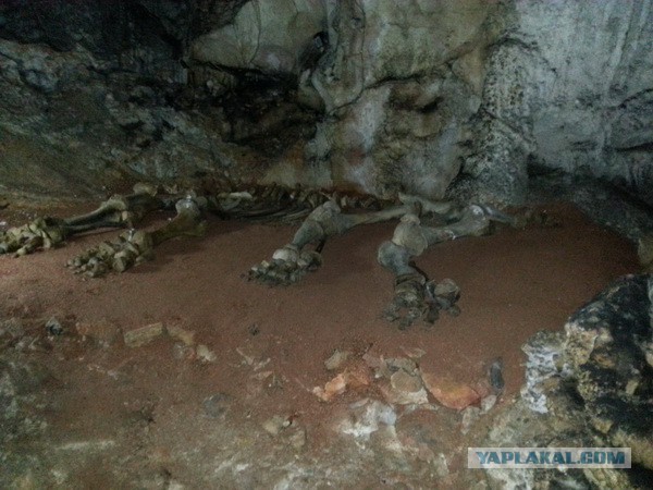 Дорога из Киева и из Москвы в Ялту.