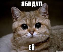 Давай дружить и ...