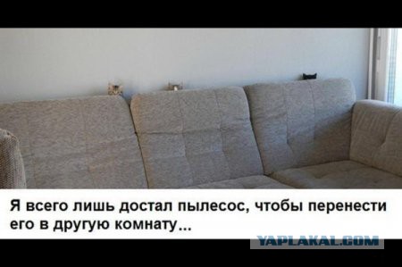 Прикольные фотобомбы