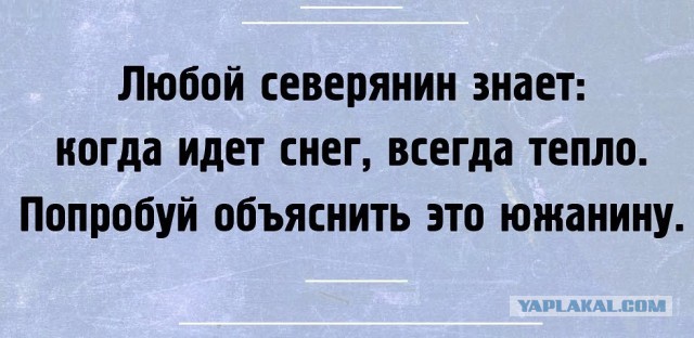 А как у Вас обстоят дела с погодой на Новый Год?
