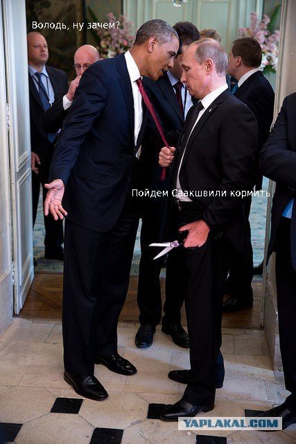 Одна жаба