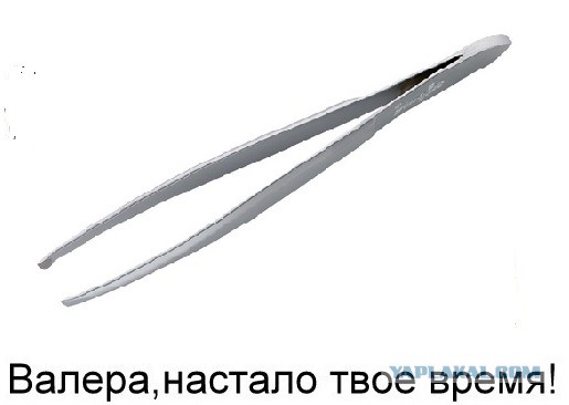 Просто брови мне пощипай