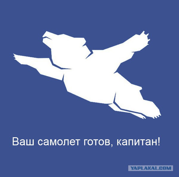 Воздушная берлога