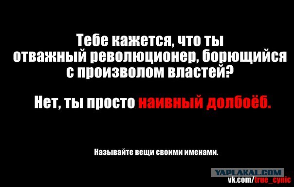 Как встречали Путина в Берлине