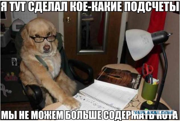 Веселости