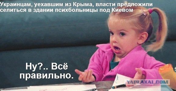 Политическая солянка #3
